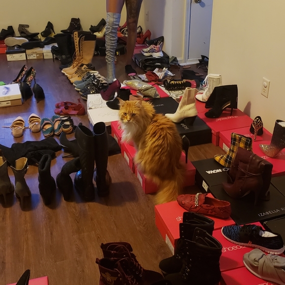 Multiple shoes - Picture 6 of 8